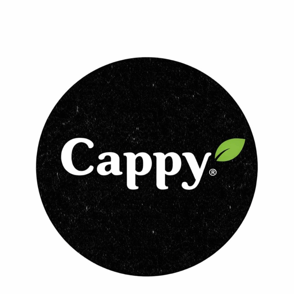 Cappy Meyve Suyu